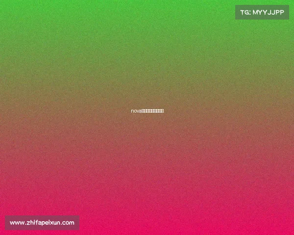 nova电子竞技俱乐部公司